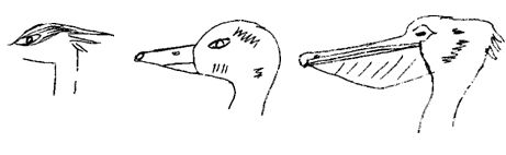 Supongo.