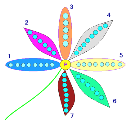 crucigrama