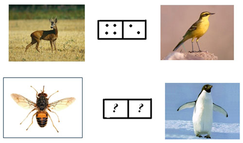 Problemas lógicos en matemáticas