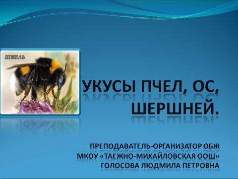Insecto picaduras