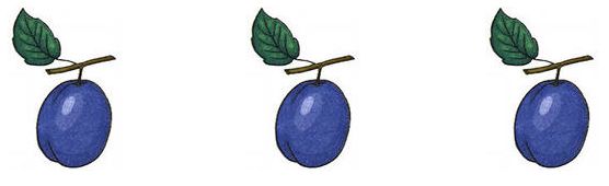 plumaje